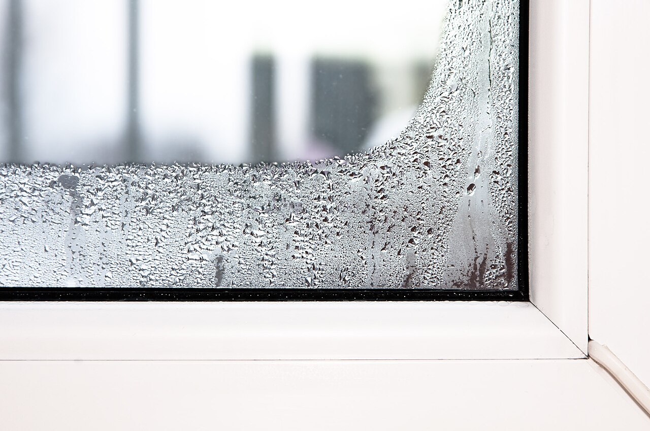 Kondenswassertropfen an der unteren Hälfte einer Fensterscheibe mit weißem Rahmen